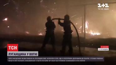 Масштабные пожары в Луганской области: какие есть прогнозы по ситуации