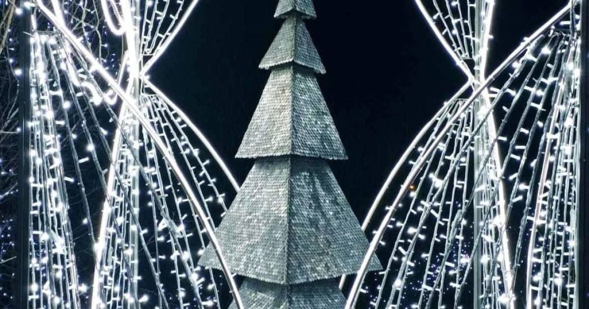 Удивительный арт-объект: под Одессой из монет создали 3-метровую новогоднюю елку-рекордсменку (фото)