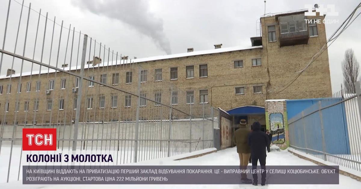 В Киевской области продадут с молотка колонию с 8 гектарами