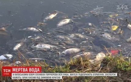 Экологическое чрезвычайное происшествие в Киеве: из озера вытащили сотни дохлых рыб