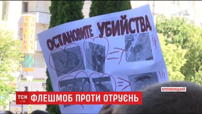 Жители Кропивницкого вышли на протест против массового отравления бездомных собак