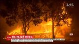 Пекельна пожежа у Каліфорнії підібралася упритул до мегаполісів Лос-Анджелес та Сан-Франциско
