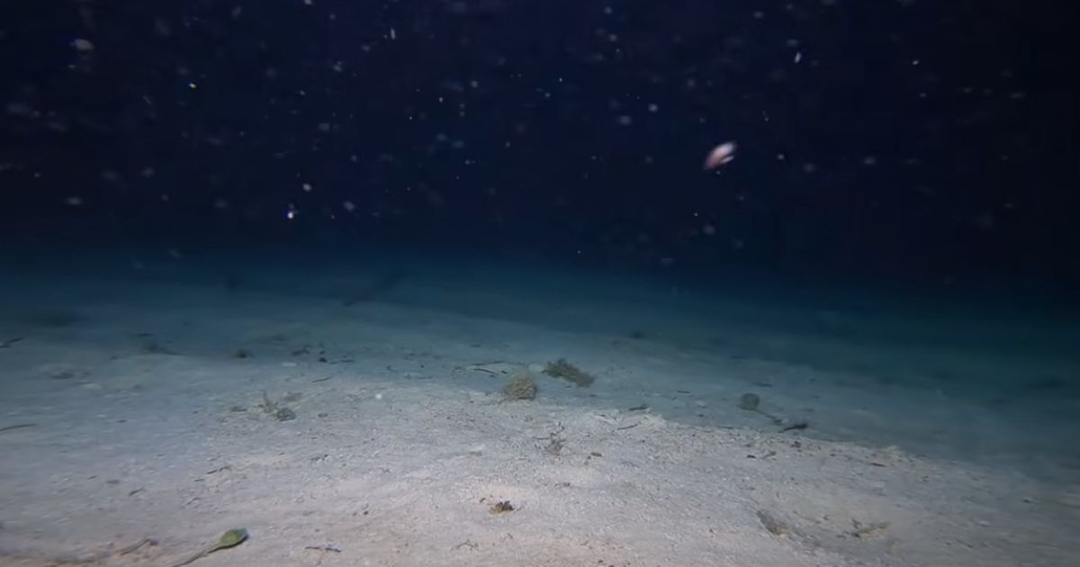 Кадр із камери GoPro