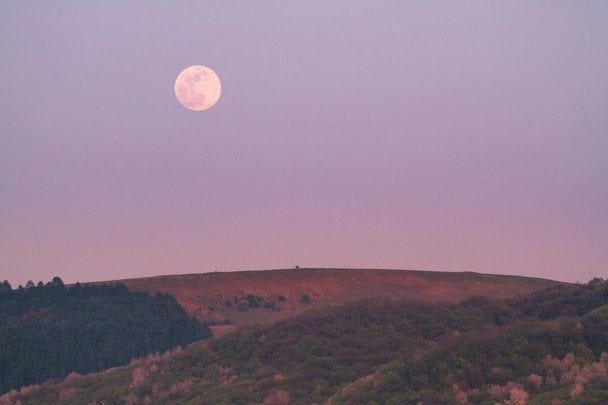 23 жовтня рожевий світанок вказує на вітер і невелике потепління / © unsplash.com