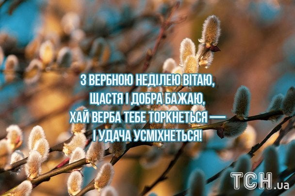 Привітання з Вербною неділею / © ТСН