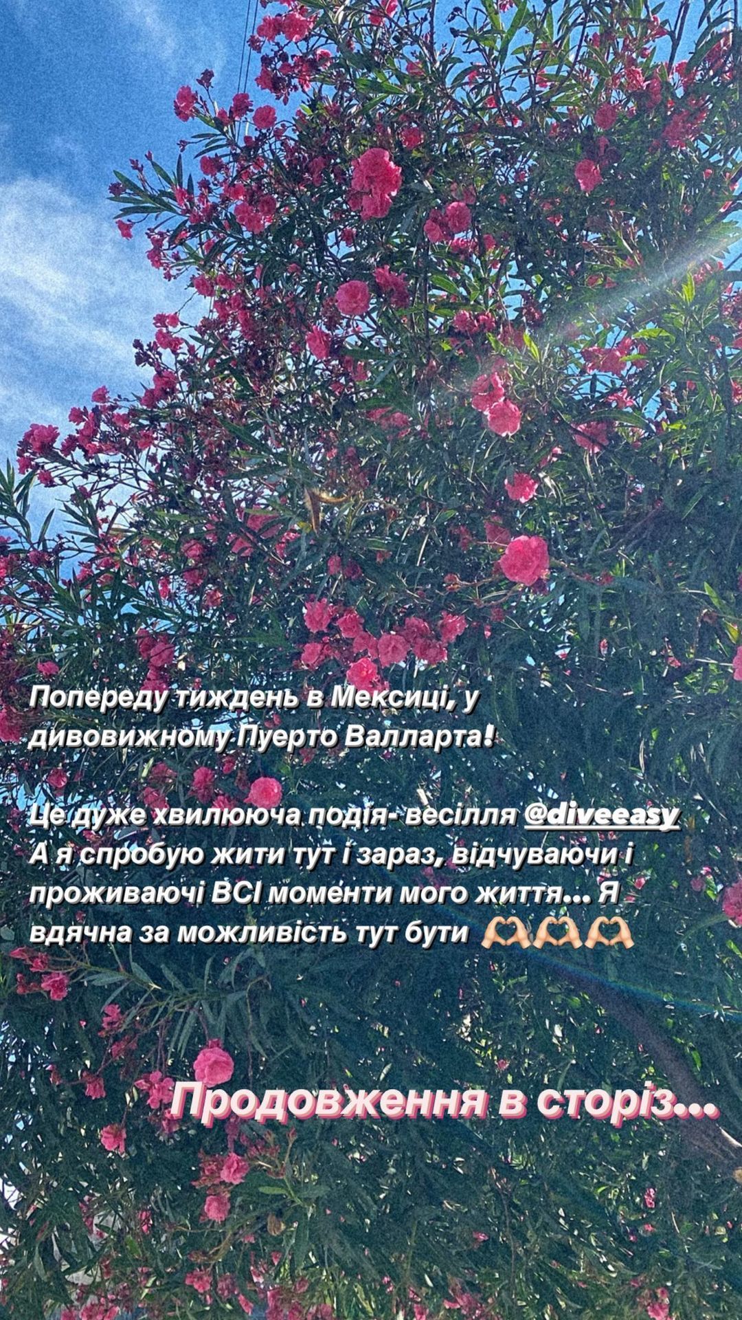 Злата Огневич приехала в Мексику на свадьбу Андрея Хветкевича / © instagram.com/zlata.ognevich