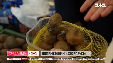 Как уберечь себя от некачественных товаров в супермаркетах