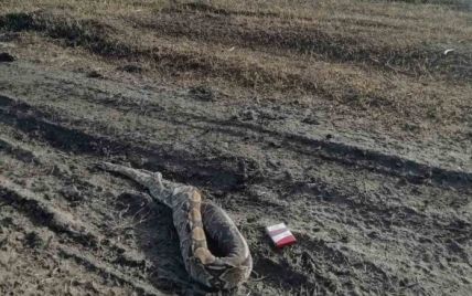 Под Днепром у реки нашли мертвого удава
