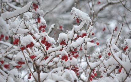 Вторник будет со снегом и морозами: прогноз погоды в Украине на 25 января