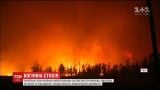Огненная стихия сжигает чилийские леса
