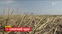 Из-за глобального потепления в Украине изменились условия и места выращивания сельскохозяйственных культур