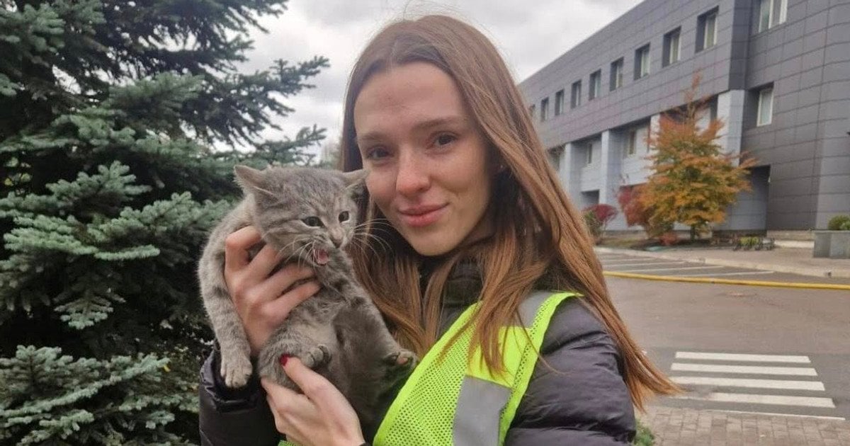 Полицейская забрала котенка домой