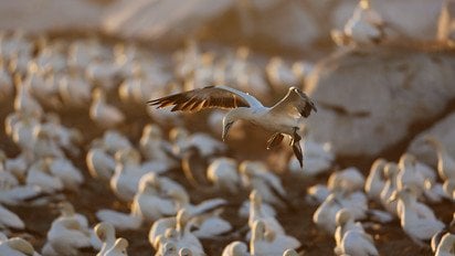 Гороскоп на 19-25 мая 2025 года
