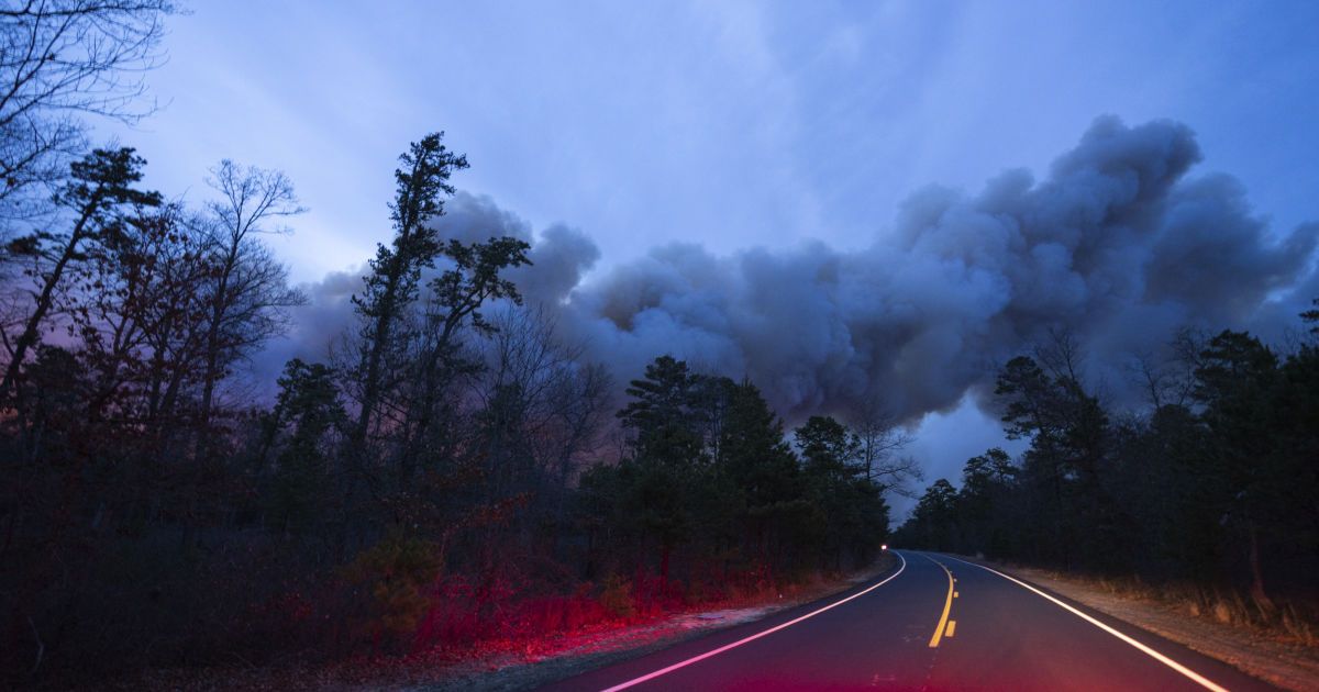В Украине в течение нескольких дней есть риск возникновения лесных пожаров.