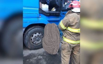 В Киеве кабина раздавила насмерть водителя, который полез ремонтировать фуру