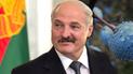 (С)адовая политика: Терновый Лукашенко