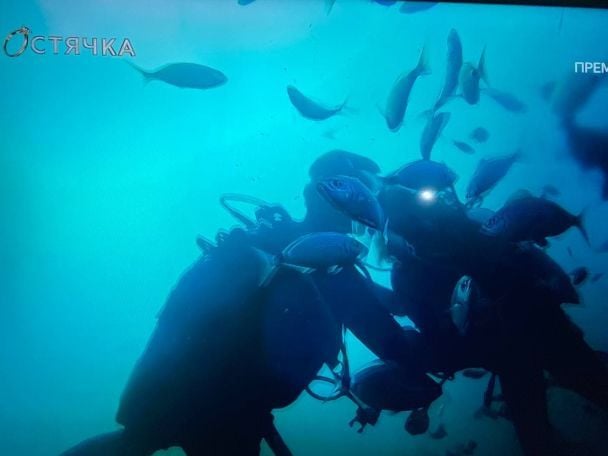 Скрин видео / ©