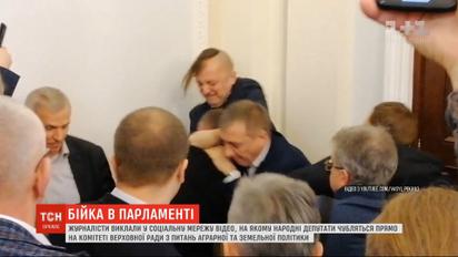 У Верховній Раді почубилися народні депутати