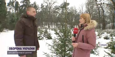 Ялинки, ялиці і сосни: які лісові дерева оберуть українці цього року