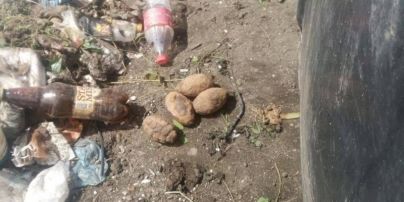 Взрывной мусор: в львовском хламе нашли пять гранат