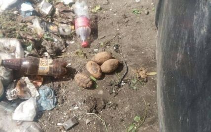 Взрывной мусор: в львовском хламе нашли пять гранат