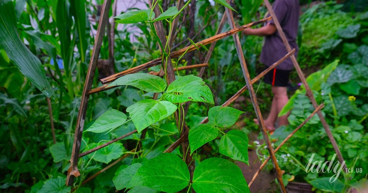 Як зробити садову опору своїми руками