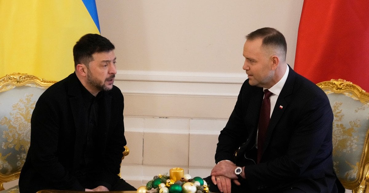 Зеленский и Навроцкий