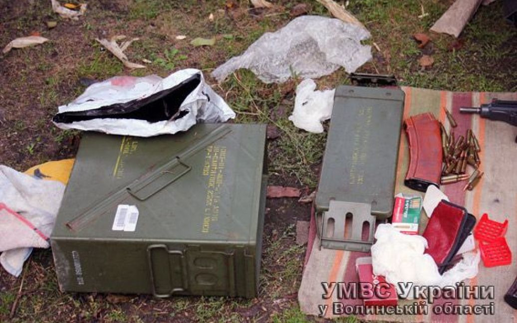 У 29-летнего волынянина дома обнаружили арсенал оружия / © УМВД в Волынской области