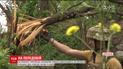 На украинских позициях начали взрываться неизвестные российские боеприпасы