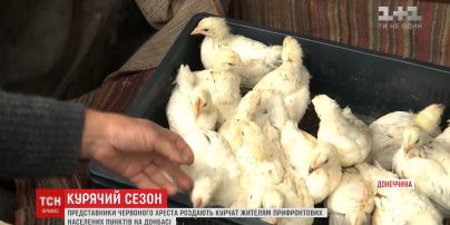 Благодійники безкоштовно роздають курчат жителям прифронтових селищ