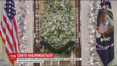 Світові столиці хизуються найстильнішими новорічними ялинками