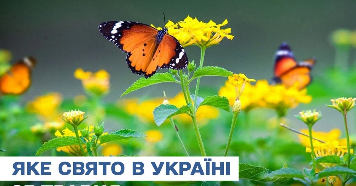 Какой праздник 25 мая 2025 года