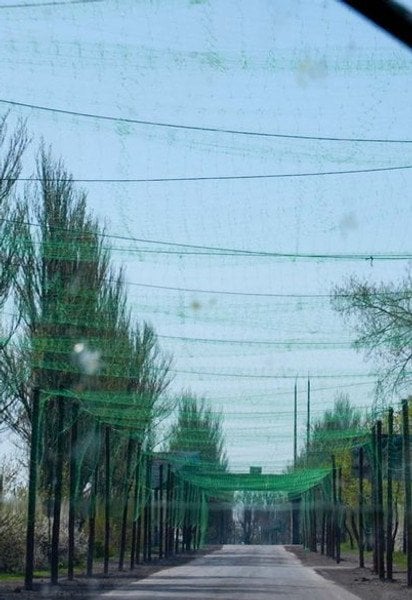 Антидроновые сетки