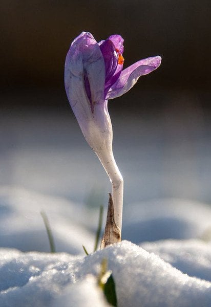 Який сьогодні, 2 березня, день ангела