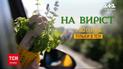 ТСН покаже унікальний спецпроєкт "На виріст"