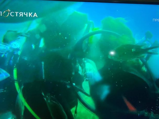 Скрин видео / ©