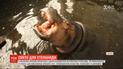 В зверинце Харькова оригинально поздравили бегемотиху с 27-летием