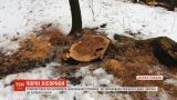 В Днепропетровской области работники СБУ задержали нелегальных лесорубов