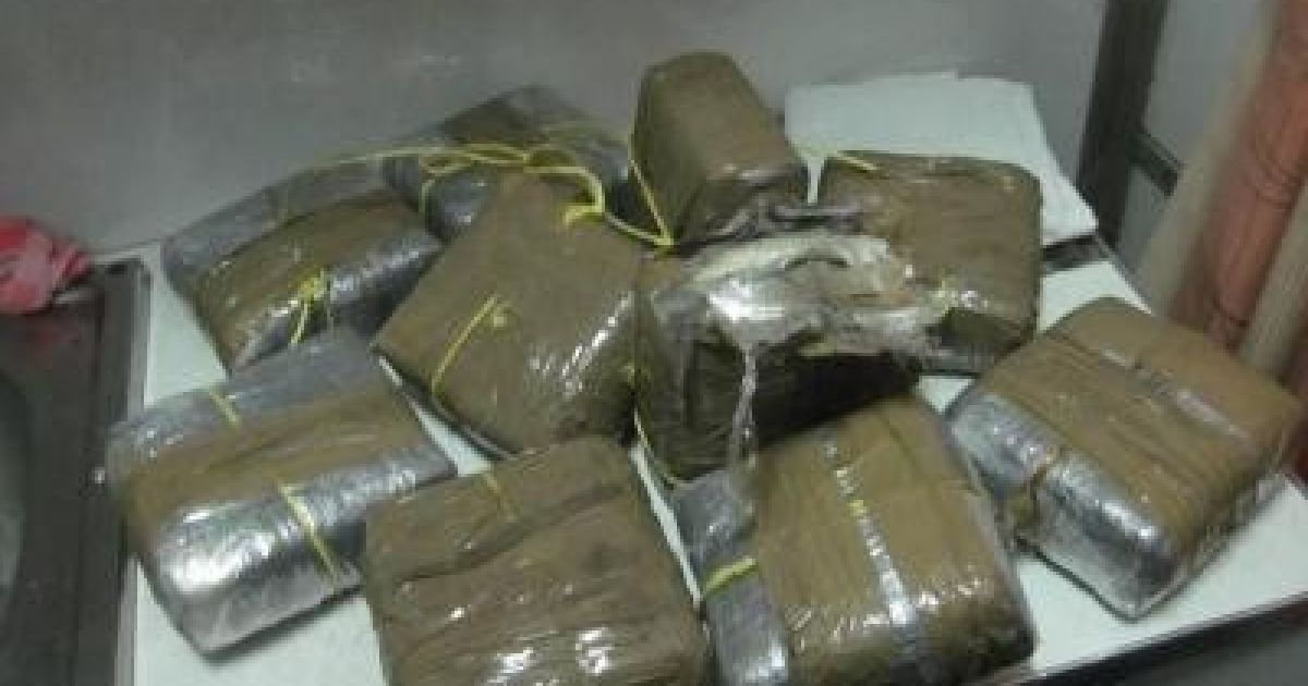 Український пес-прикордонник знайшов у поїзді на кордоні з Росією 6 кг наркотичного зілля