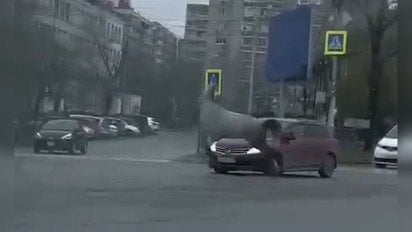 У Росії кінь втік від господаря та влаштував аварію