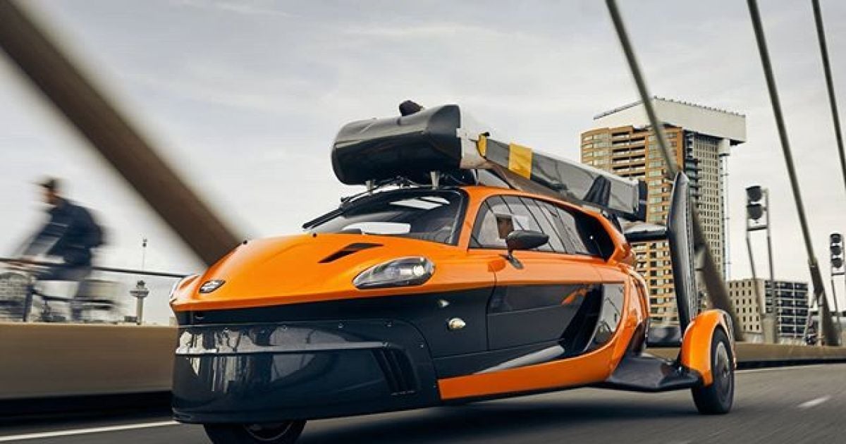 Фото: instagram.com.palv.flyingcar