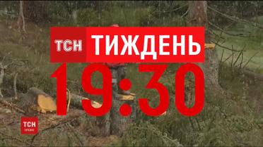 ТСН.Тиждень исследовал, кто и как незаконно вырубает гектары карпатских лесов