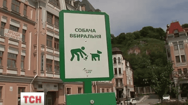 У столиці запровадять штрафи за не прибирання собачих фекалій