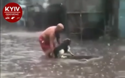 Вынес из воды на руках: в Киеве во время ливня мужчина спас травмированную собаку (видео)