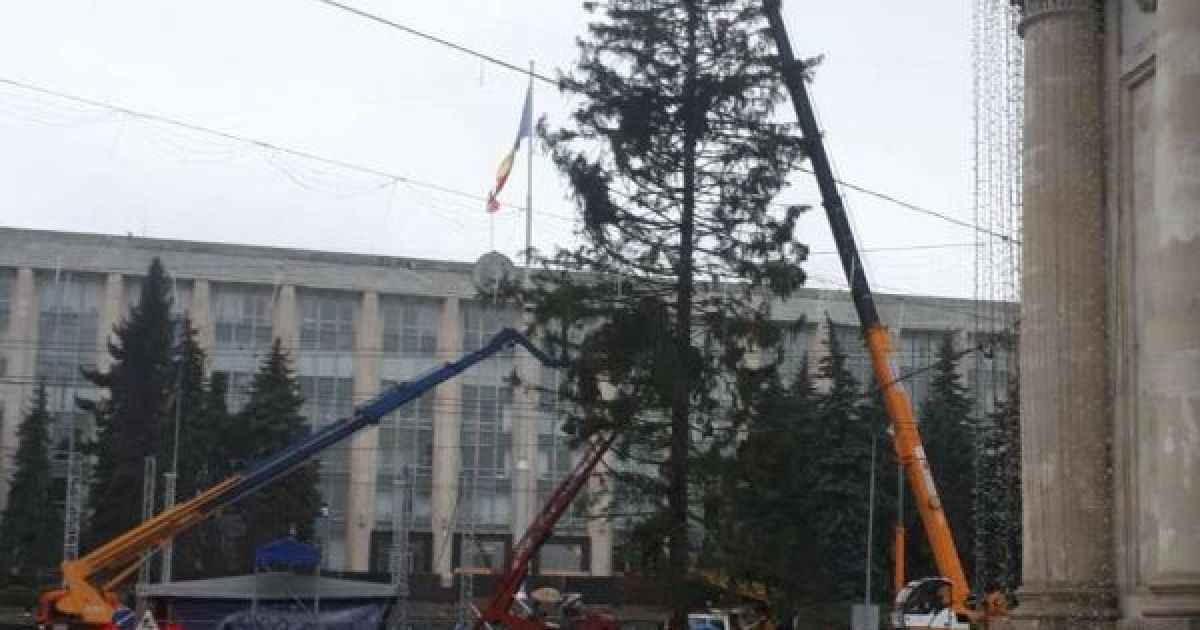 В Кишиневе облезлую новогоднюю елку заменили срубленной в детсаду