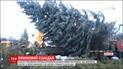 Головну ялинку України вже везуть до Києва