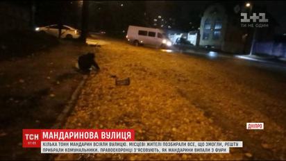 В Днепре перевернулась фура с мандаринами