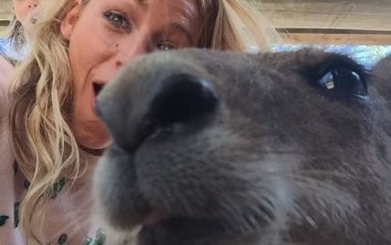Селфи с кенгуру и аттракционы: австралийские выходные Свифт и Лайвли