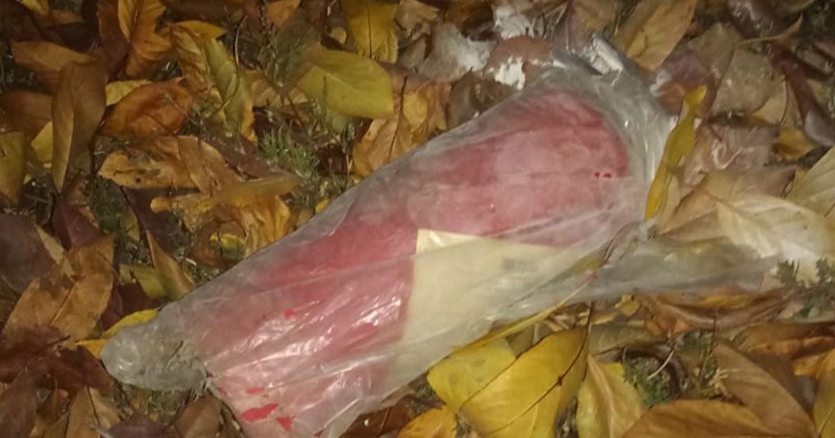 Підозрюваним у спробі підпалу будинку заступника голови Офісу президента обрали запобіжний захід