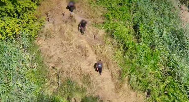 На кордоні з Молдовою затримали кухарів-ухилянтів / © Держприкордонслужба України